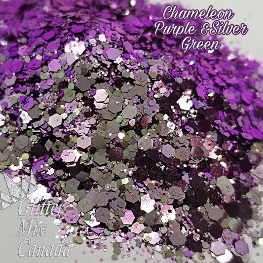 024 Chameleon  Purple Silver green