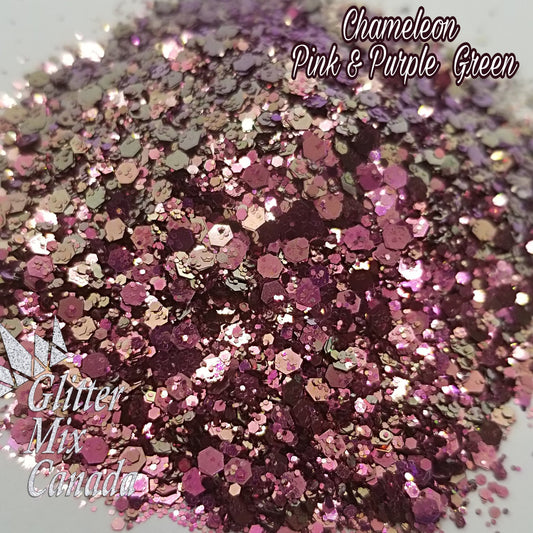 019 Chameleon Pink purple green