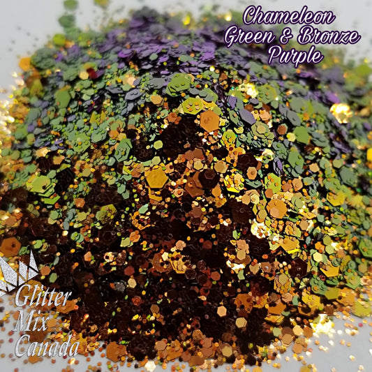 018 Chameleon  Green Bronze Purple