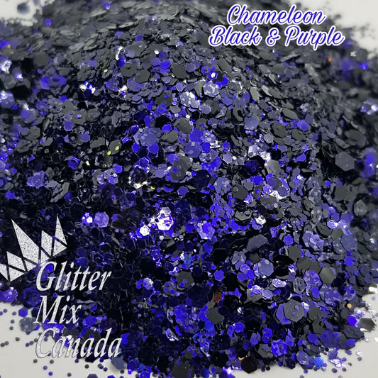 017 Chameleon  Black Purple