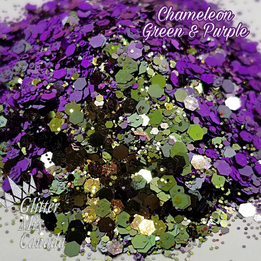 023 Chameleon  Green Purple