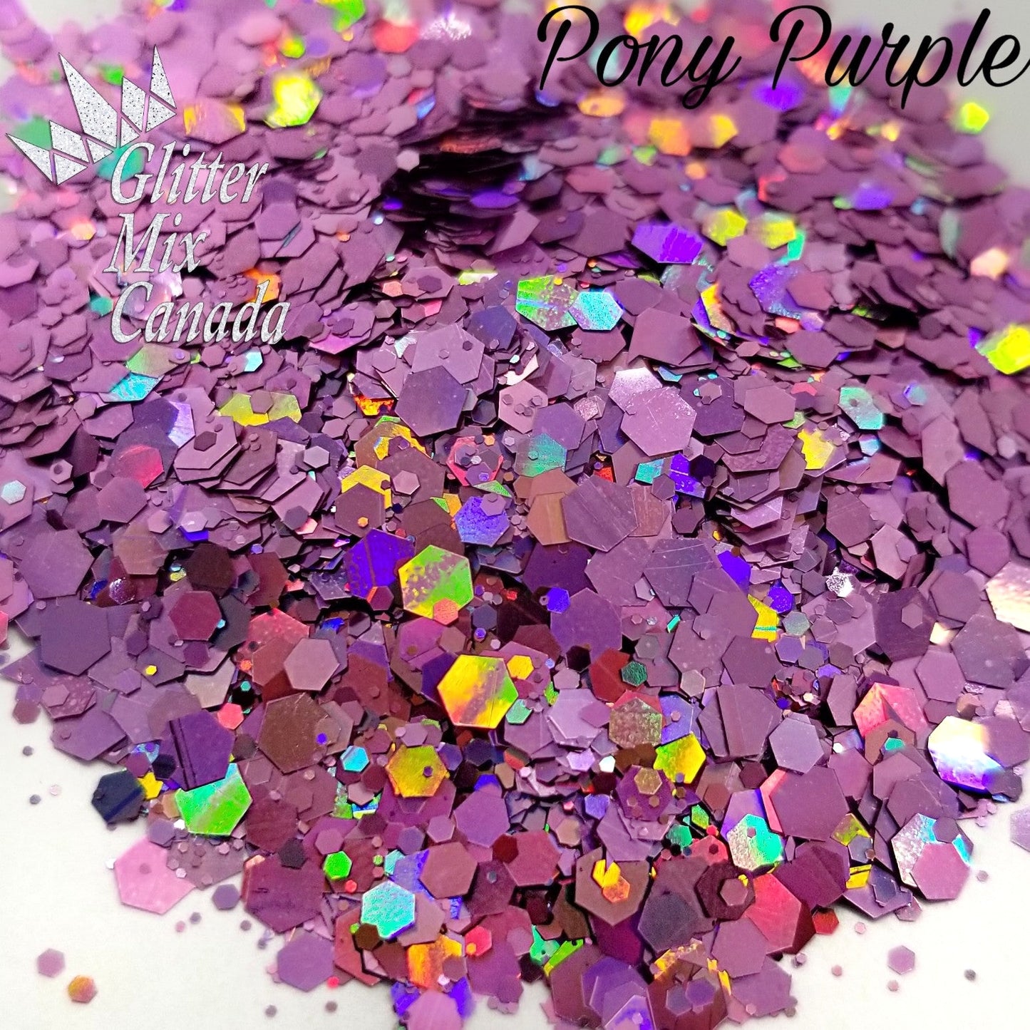 086 Pony Purple