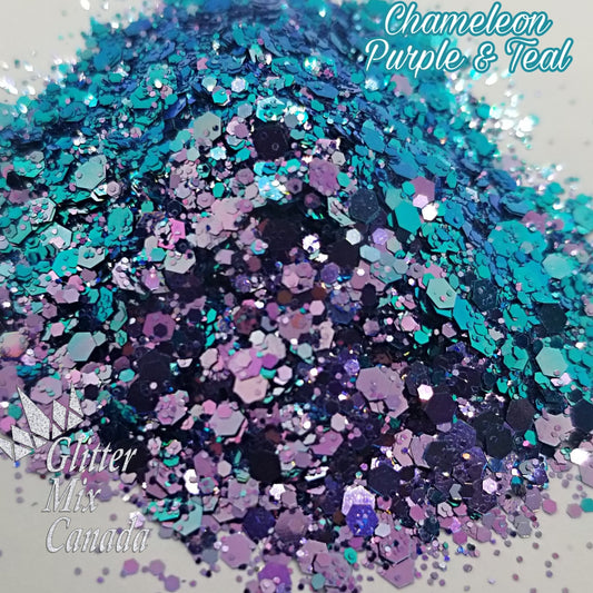 014 Chameleon  Purple  Teal