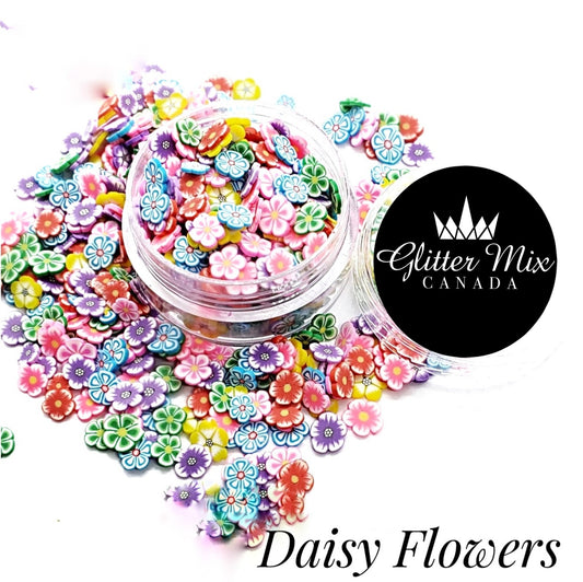454-Daisy Flowers