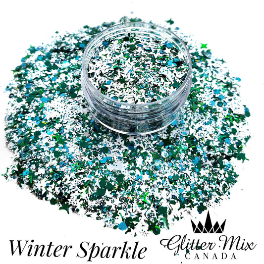 413-Winter Sparkle